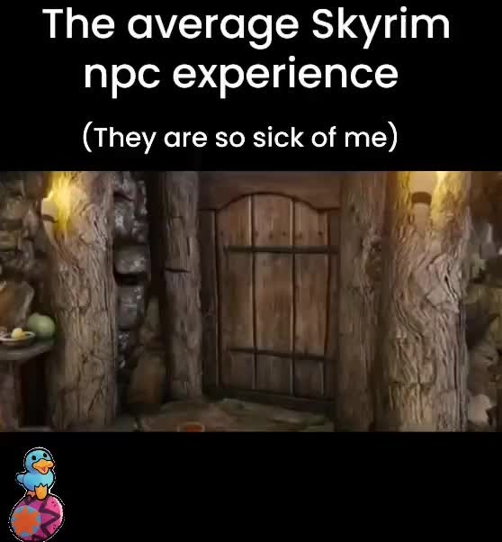 Skyrim NPC experience - Meme by Baiast :) Memedroid