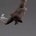 commented item thumbnail