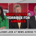 Vegetarian dog