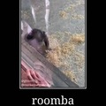 Mono roomba