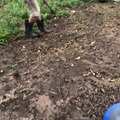 commented item thumbnail