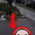 commented item thumbnail