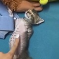 commented item thumbnail