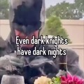 Dark knights