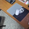 commented item thumbnail