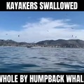 Whalecome to Kayaking