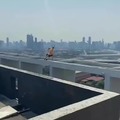 Long jump from a building to the other