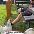 commented item thumbnail