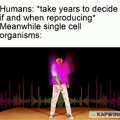 Single cells