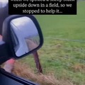 commented item thumbnail