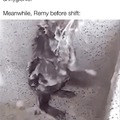 Rat getting a shower