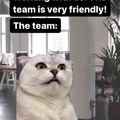 The team is very friendly