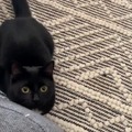 commented item thumbnail