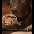 commented item thumbnail
