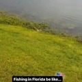 Pesca en florida
