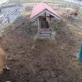 commented item thumbnail