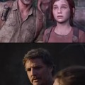 The last of us accuracy