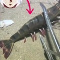 commented item thumbnail