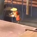 commented item thumbnail