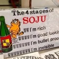 Las 4 etapas del soju