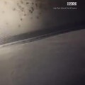 A Camper Wakes Up To Hundred of Spiders Crawling on Its Tent