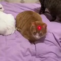 commented item thumbnail