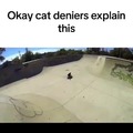 Cat deniers
