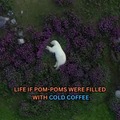Polar bear life