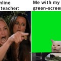 Me with my green-screen at class