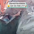 Construction workers save dog
