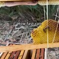 commented item thumbnail