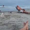 They don't want you to know this, but the birds at the beach are free.  You can just take them.