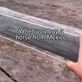 commented item thumbnail
