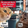Nuts after gym