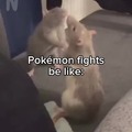 Pokemon fights