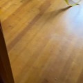 commented item thumbnail