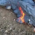 Collecting lava to research. Is this how they harvest hot sauce in the wild?