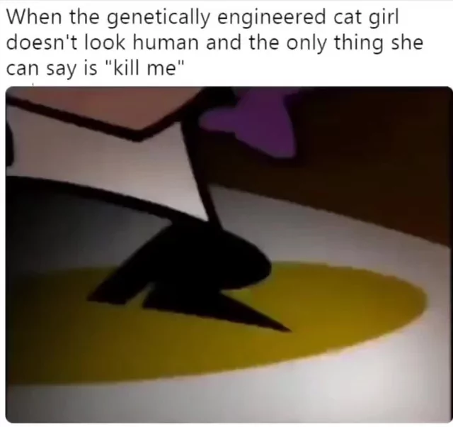 Genetically engineered catgirls : r/memes