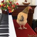 A grão mestre dos pianistas