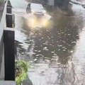 Flood Challenge