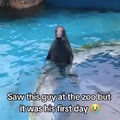 First day at the zoo
