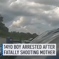 14yo boy arrested after shooting mother, good cop intervention