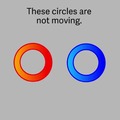 Una ilusion optica que le hace creer a tu cerebro que los dos circulos se mueven!!!