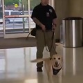 TSA explosives detection dog gets retirement party