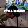Bird simulator