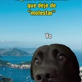 Molestar