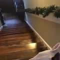 he went down the stairs the right way