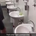 Premium toilet