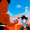 Goku domando a CCE