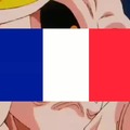 Resumen del mundial de Francia
